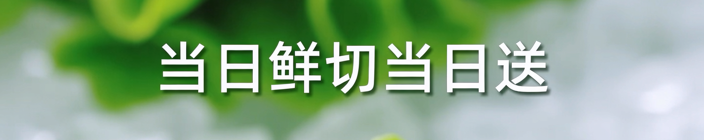 岚屿鲜生上架物料